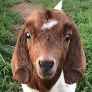 Meet your Posher, Julianne